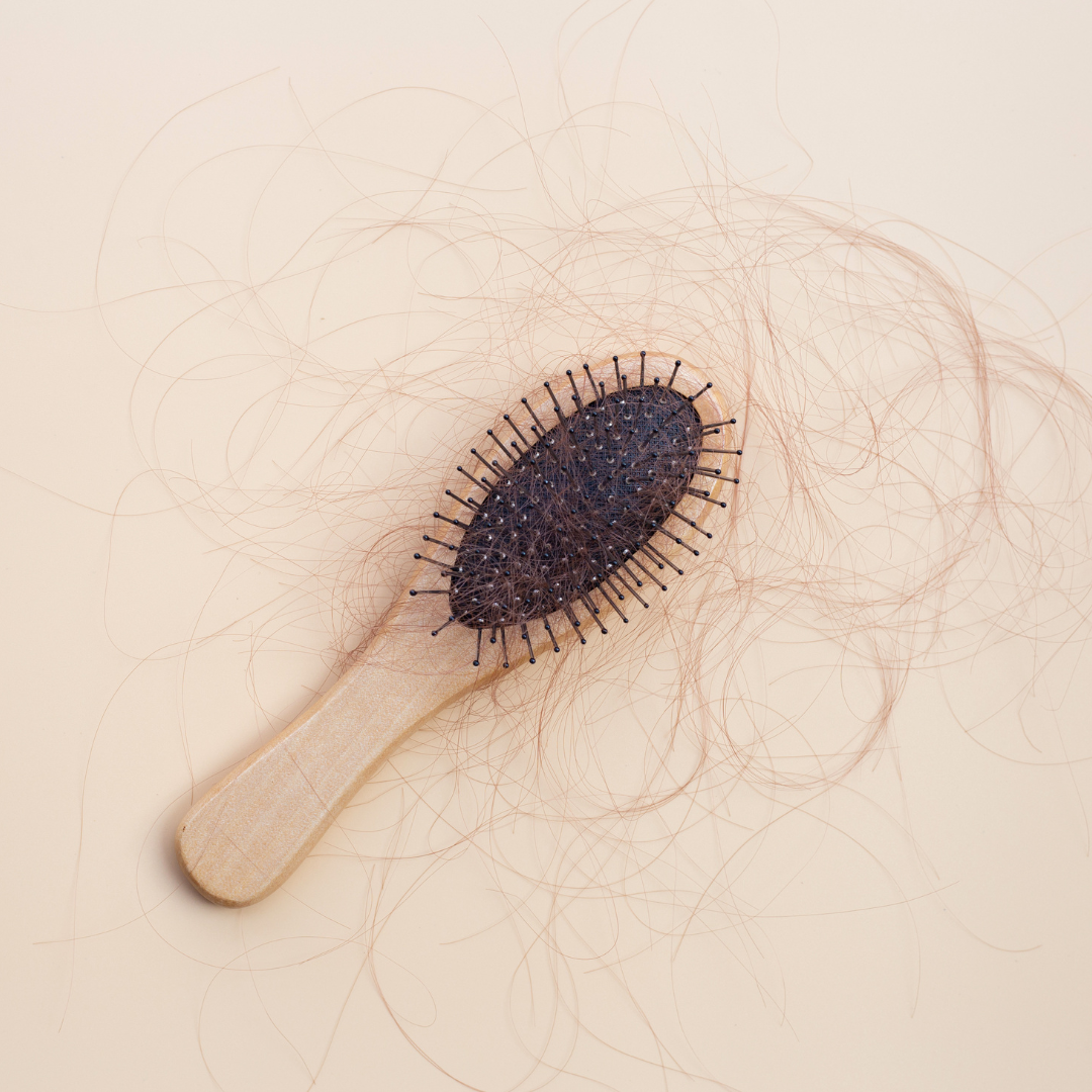 Top view hairs loss fall in comb