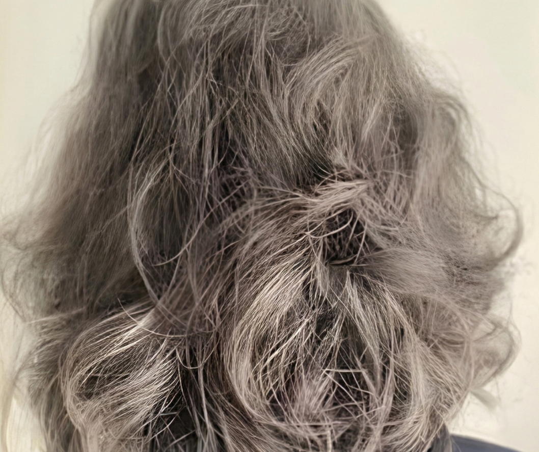 Close-up of wavy gray hair with a neutral background