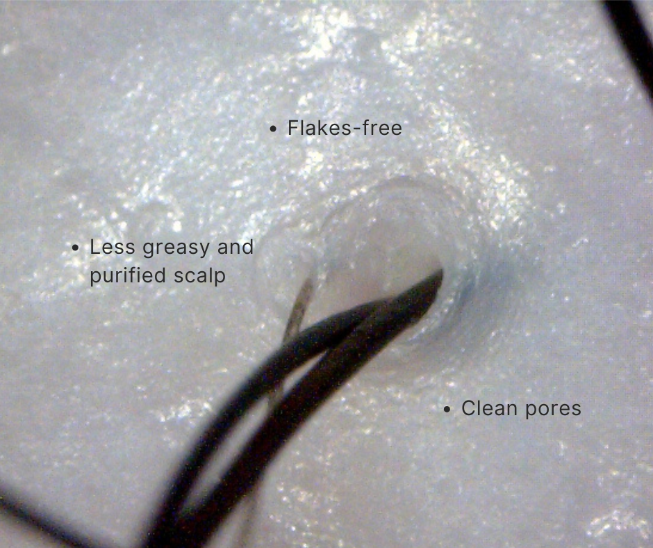 Close-up of a hair with text indicating benefits 