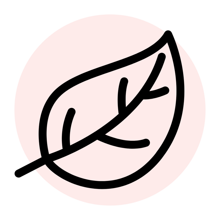 line drawing of a leaf