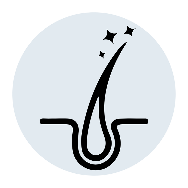 line drawing of hair follicle, blue circle background